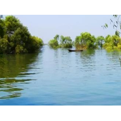中国四大淡水湖介绍（揭晓中国的四大淡水湖名称）