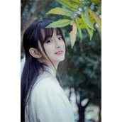 在深圳和厂花的那些岁月完整作品