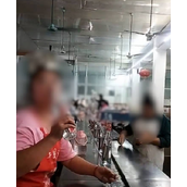 酒厂回应员工将流水线酒对嘴吹：查询不到视频中几位员工的入职信息！