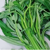 空心菜是抽筋菜吃完会抽筋?谣言！