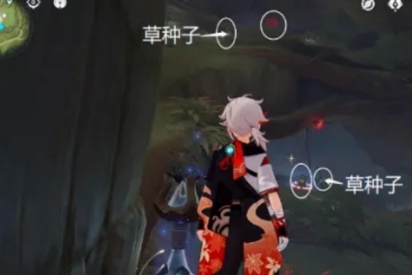 原神静态风景9号宝箱开箱图文攻略