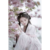 女神的超级狂医精品阅读