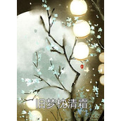 我的娇美大小姐文章全文
