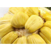 菠萝蜜怎么挑选才好吃（如何挑选到脆甜可口的菠萝蜜）