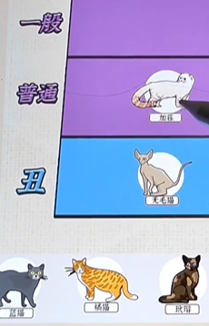 爆梗找茬王猫中美女图文攻略