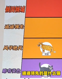 爆梗找茬王猫中美女图文攻略