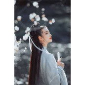 正道红途全本小说