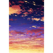 完整文集挣够两百就下播，我摆烂爆红全网