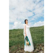 一路天骄全文完结