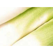 5月应季蔬菜推荐（推荐五月应季的蔬菜品种）