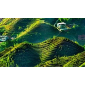 亚热带季风气候的特点（介绍亚热带季风气候的特征）