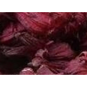 洛神花是什么花可以吃吗（食用洛神花需要注意什么）
