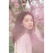 前妻攻略：傅总乖乖宠我全章节