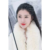 不能说的秘密全集阅读