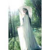 名门浪子全集小说阅读