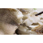 常见的适合食用的鱼类（罗列适合食用的常见鱼类品种和特点）