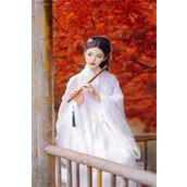 高冷女神爱上我精品选集