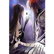 完整作品阅读师娘，我不想努力了