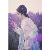 几百块的律师费，你玩什么命啊！精品全篇