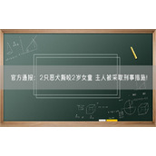 官方通报：2只恶犬撕咬2岁女童 主人被采取刑事措施!