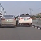 又现斗气车！一比亚迪驾驶员加塞不成怒撞特斯拉！