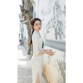 青云美人图畅销小说