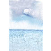 精选全文移情别恋