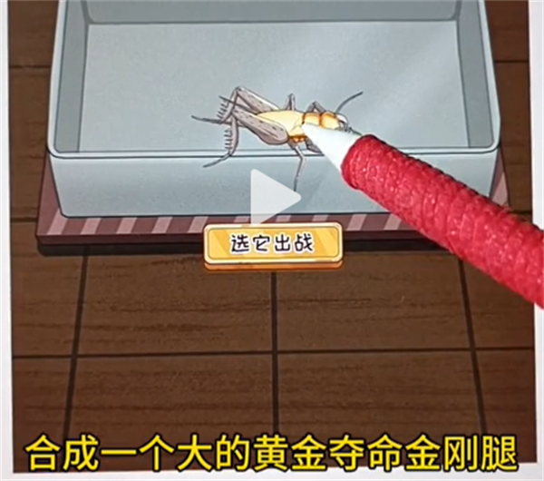 沙雕出击电子斗蛐蛐图文攻略
