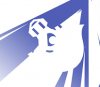 本站2