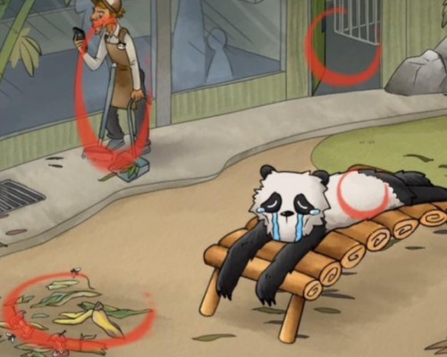 你是不是虾熊猫回家通关图文攻略