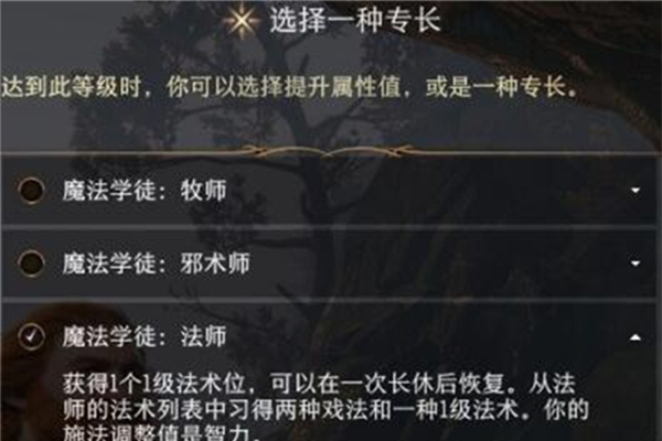 博德之门3风暴牧师专长选择推荐