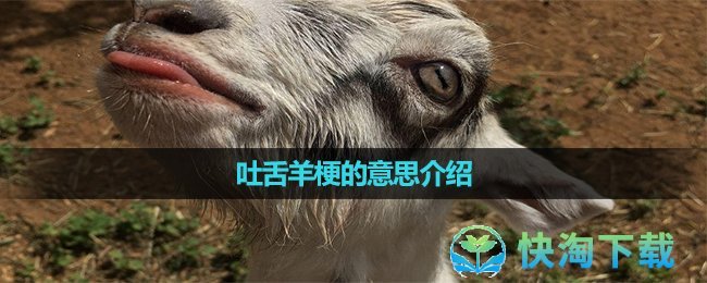 《抖音》吐舌羊梗的意思介绍