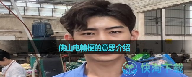《抖音》佛山电翰梗的意思介绍