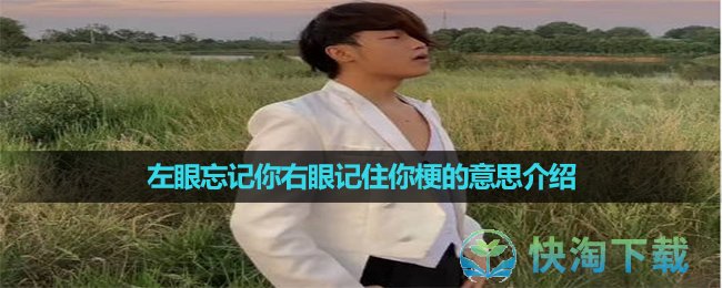 《抖音》左眼忘记你右眼记住你梗的意思介绍