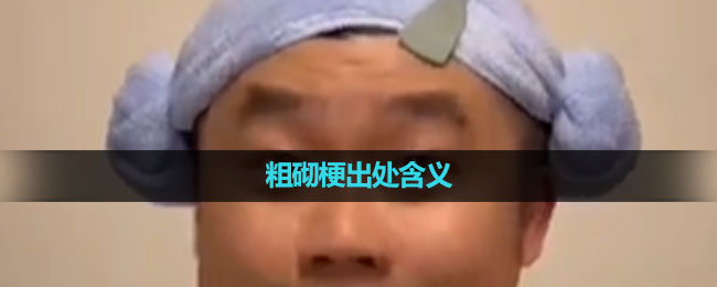 《抖音》粗砌梗出处含义介绍
