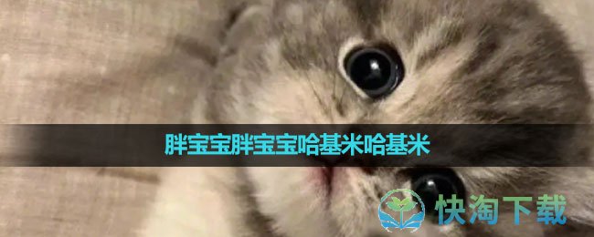 《抖音》胖宝宝胖宝宝哈基米哈基米梗出处含义介绍