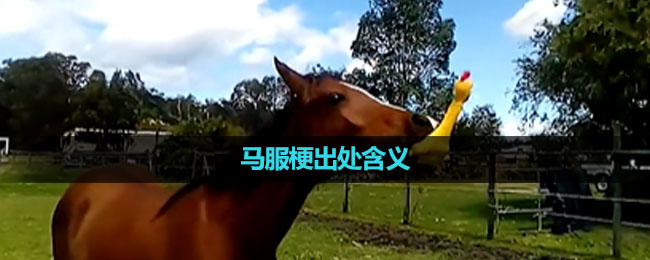 《抖音》马服梗出处含义介绍