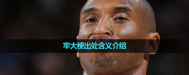 《抖音》牢大梗出处含义介绍