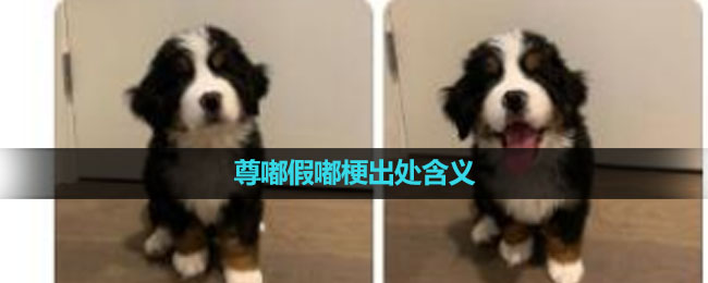 《抖音》尊嘟假嘟梗出处含义介绍
