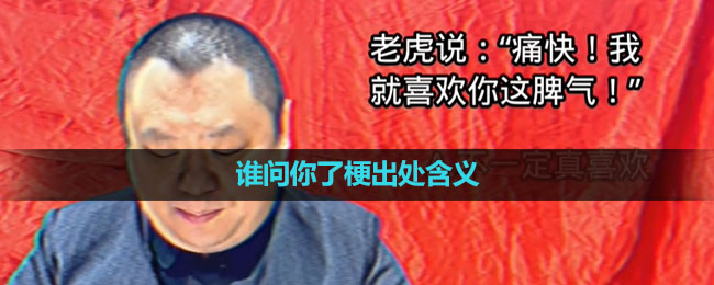 《抖音》谁问你了梗出处含义介绍