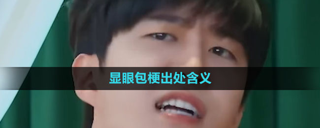 《抖音》显眼包梗出处含义介绍