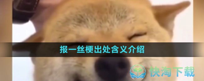 《抖音》报一丝梗出处含义介绍