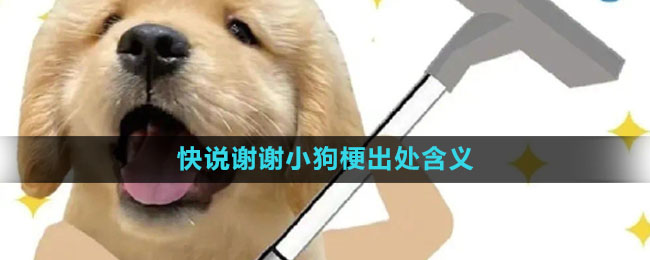 《抖音》快说谢谢小狗梗出处含义介绍