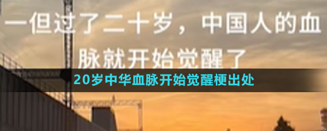 《抖音》20岁中华血脉开始觉醒梗出处含义介绍