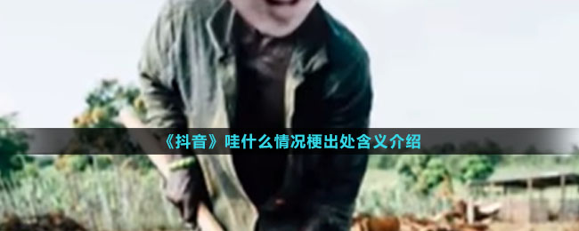 《抖音》哇什么情况梗出处含义介绍