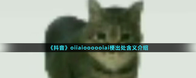 《抖音》oiiaioooooiai梗出处含义介绍