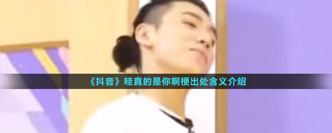《抖音》哇真的是你啊梗出处含义介绍
