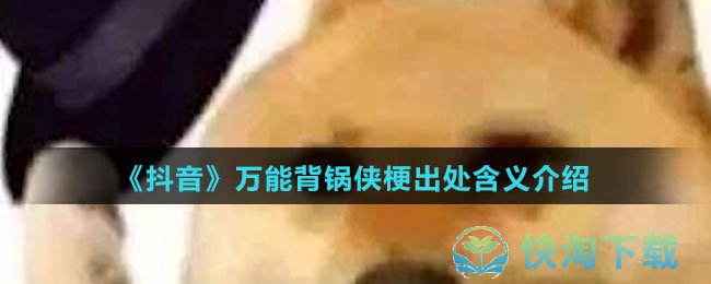 《抖音》万能背锅侠梗出处含义介绍