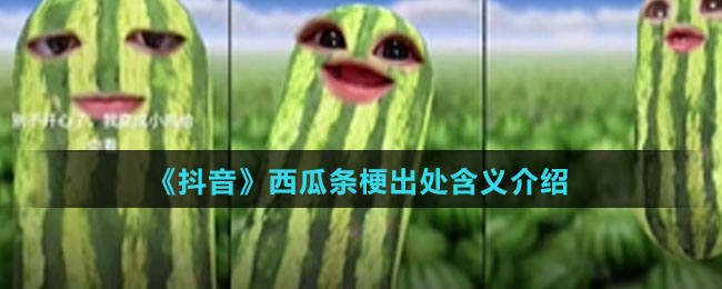 《抖音》西瓜条梗出处含义介绍