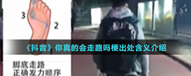 《抖音》你真的会走路吗梗出处含义介绍